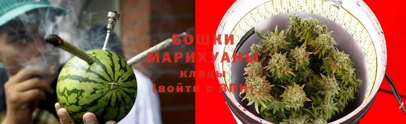 Шишки марихуана THC 21%  Бокситогорск 